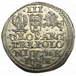 Zygmunt III Waza, Trojak anomalny 1596 - Rzadkość