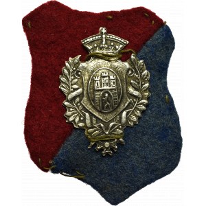 Odznaka Lwów z tarczką