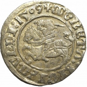 Zygmunt I Stary, Półgrosz 1509, Wilno