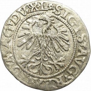 Sigismund II Augustus, Halfgroat 1560, Vilnius - LI/LITVA