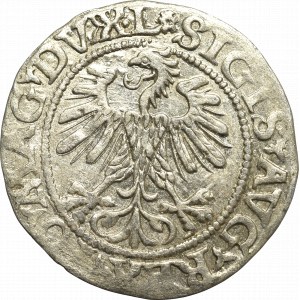 Zygmunt II August, Półgrosz 1560, Wilno - L / LITV - rzadki