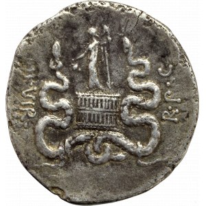 Roman Republic, Marcus Antonius, Cystophoric tetradrachm, Ephesos