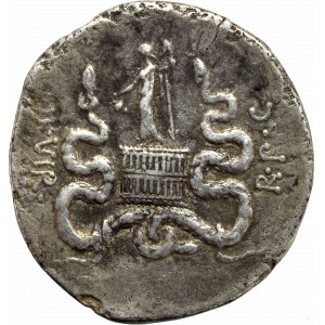 Republika Rzymska, Marek Antoniusz, Tetradrachma cystoforyczna, Efez