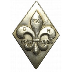 II RP, Odznaka 10-lecia 9 Drużyny Harcerskiej 1934