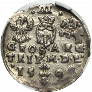 Zygmunt III Waza, Trojak 1596, Wilno - herb Prus i Chalecki - NGC MS61