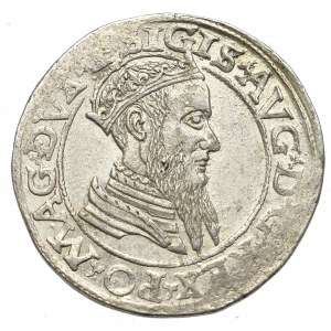 Zygmunt II August, Czworak 1566, Wilno - L/LI