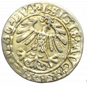 Sigismund II Augustus, Halfgroat 1558, Vilnius