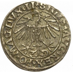 Sigismund II Augustus, Halfgroat 1550, Vilnius