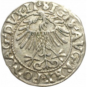 Sigismund II Augustus, Half-groat 1557, Vilnius - LI/LITVA