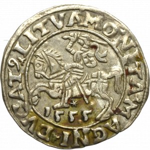 Sigismund II Augustus, Halfgroat 1555, Vilnius - LI/LITVA