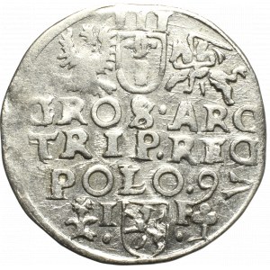 Zygmunt III Waza, Trojak 1597, Wschowa - nieopisany