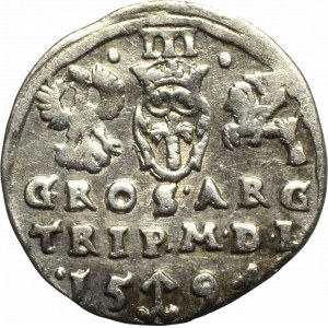 Sigismund III, 3 groschen 1594, Vilnius