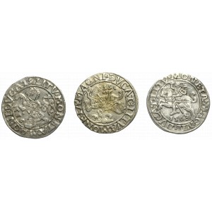 Sigismund II Augustus, Lot of halfgroats