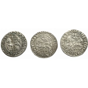 Sigismund II Augustus, Lot of halfgroats