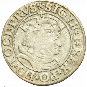 Sigismund I the Old, Groschen for Prussia 1531, Thorn