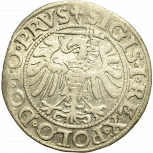Sigismund I the Old, Groschen 1539, Elbing