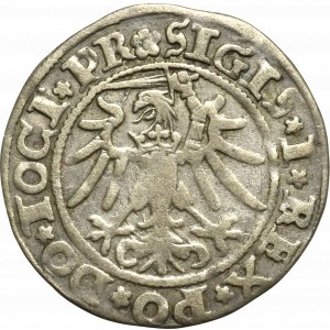 Zygmunt I Stary, Grosz 1535, Elbląg