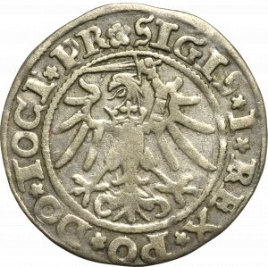 Sigismund I the Old, Groschen 1535, Elbing