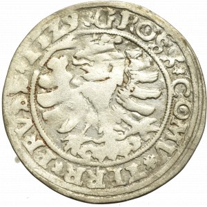 Sigismund I the Old, Groschen for Prussia 1529, Thorn