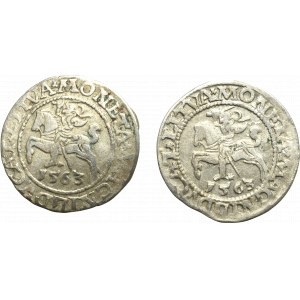 Sigismund II Augustus, Lot of halfgroats