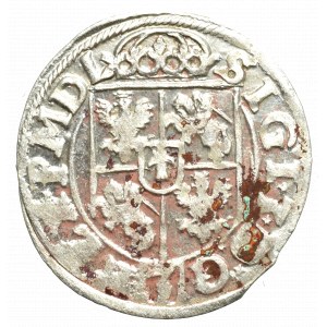 Zygmunt III Waza, Półtorak 1618, Bydgoszcz - Sas w tarczy polskiej/SIGI