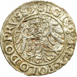Sigismund I the Old, Schilling 1539, Elbing