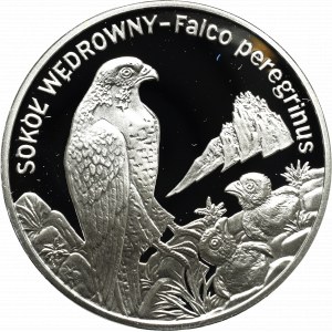 III RP, 20 złotych 2008 - Sokół wędrowny