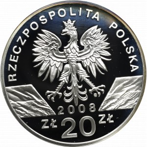 III RP, 20 złotych 2008 - Sokół wędrowny