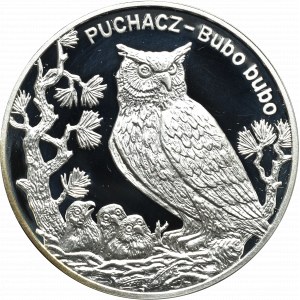 III RP, 20 złotych 2005 - Puchacz