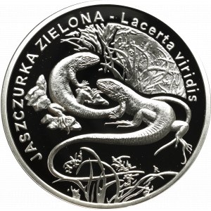 III RP, 20 złotych 2008 - Jaszczurka Zielona