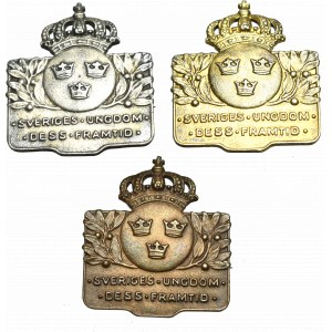 Sweden, Lot of 3 association badge - silver 1931-1935