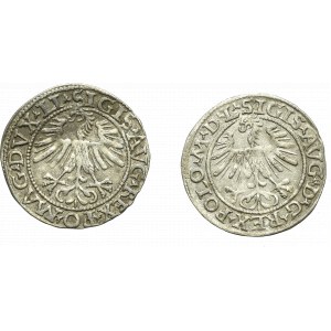 Zygmunt II August, Zestaw półgrosz 1562 i 1563