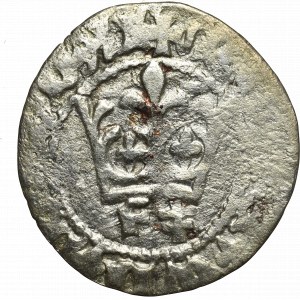 Vladislaus II Jagello, Halfgroat without date, Cracow