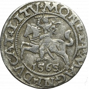 Sigismund II Augustus, Halfgroat 1565, Vilnius - L/LITV