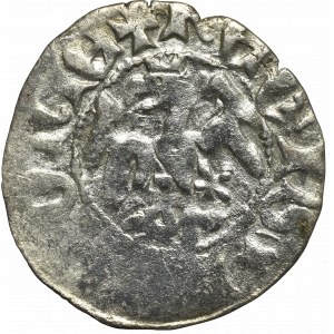 Vladislaus II, halfgroat