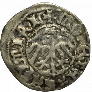 Casimir IV the Jagellon, Halfgroat without date, Cracow