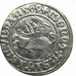 Sigismund I the Old, Halfgroat 1509, Vilnius