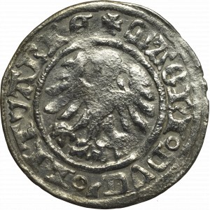 Alexander Jagellon, Halfgroat without date, Vilnius