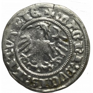 Sigismund I the Old, Halfgroat 1511, Vilnius