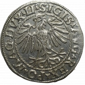 Sigismund II Augustus, Halfgroat 1548, Vilnius