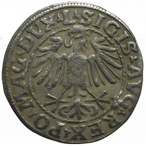 Sigismund II Augustus, Halfgroat 1548, Vilnius