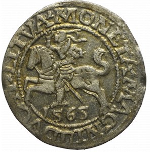 Sigismund II Augustus, 1/2 groschen 1565, Vilnius - L/LITVA