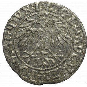 Sigismund II Augustus, Halfgroat 1549, Vilnius