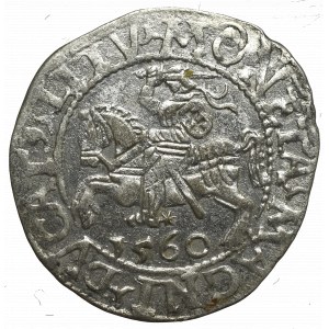 Sigismund II Augustus, Halfgroat 1560, Vilnius - LI/LITVA