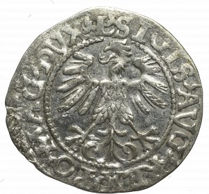 Zygmunt II August, Półgrosz 1560, Wilno - L/LITV