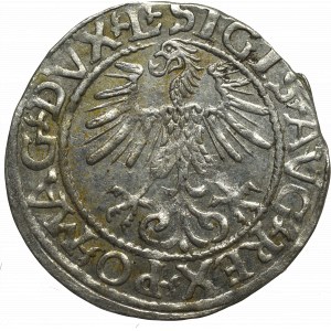 Sigismund II Augustus, Halfgroat 1565, Vilnius