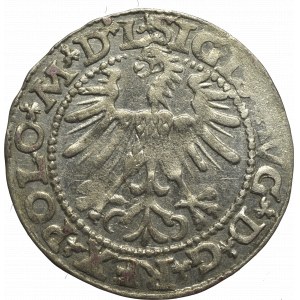 Zygmunt II August, Półgrosz 1563, Wilno - L/LITV