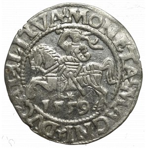 Sigismund II Augustus, Halfgroat 1559, Vilnius