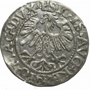 Sigismund II Augustus, Halfgroat 1559, Vilnius