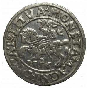 Sigismund II Augustus, Halfgroat 1556, Vilnius